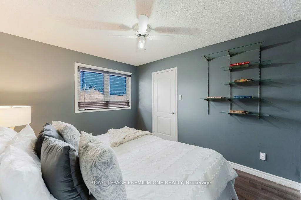 25, Sir Lancelot, Bolton East, Caledon