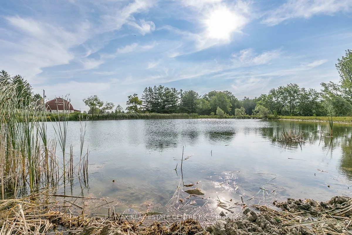 Shaws Creek, Rural Caledon, Caledon