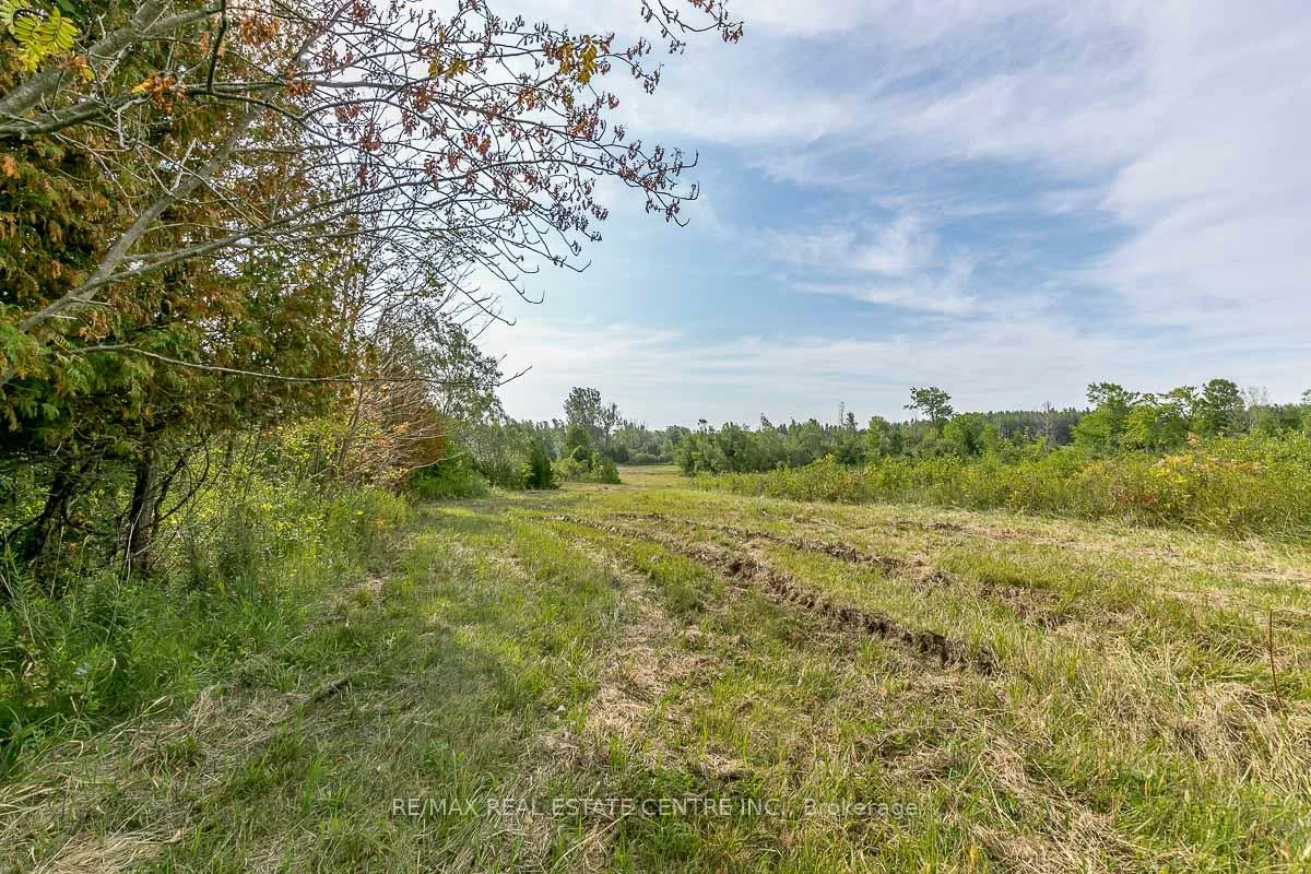 Shaws Creek, Rural Caledon, Caledon