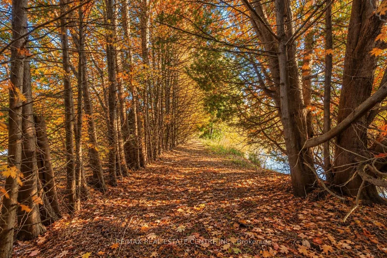 1, Cedar, Rural Caledon, Caledon