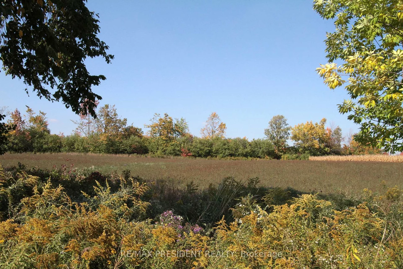 7190, King, Rural Caledon, Caledon
