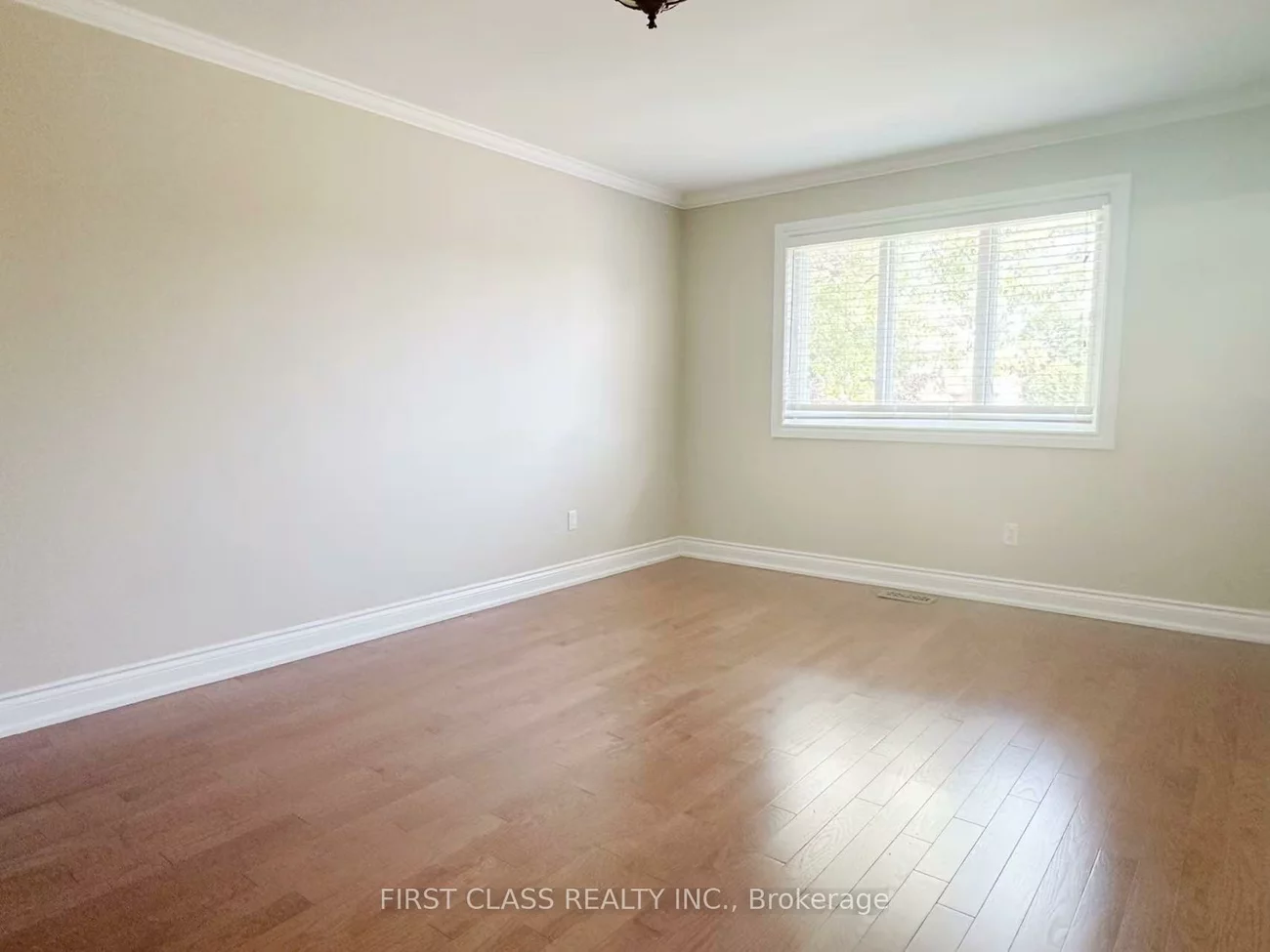 3, Veronica, Sharon, East Gwillimbury