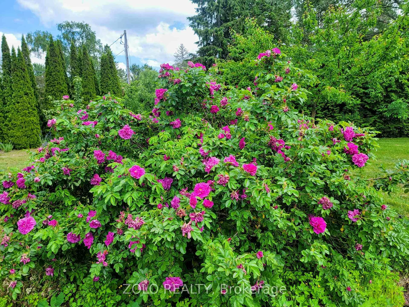 20560, Yonge, Holland Landing, East Gwillimbury