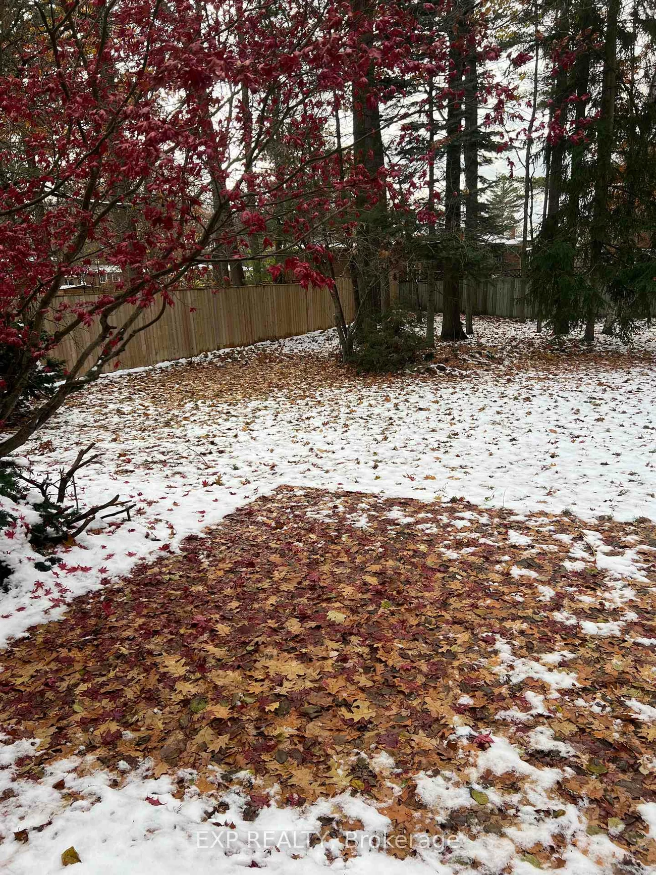 224, Park, Holland Landing, East Gwillimbury