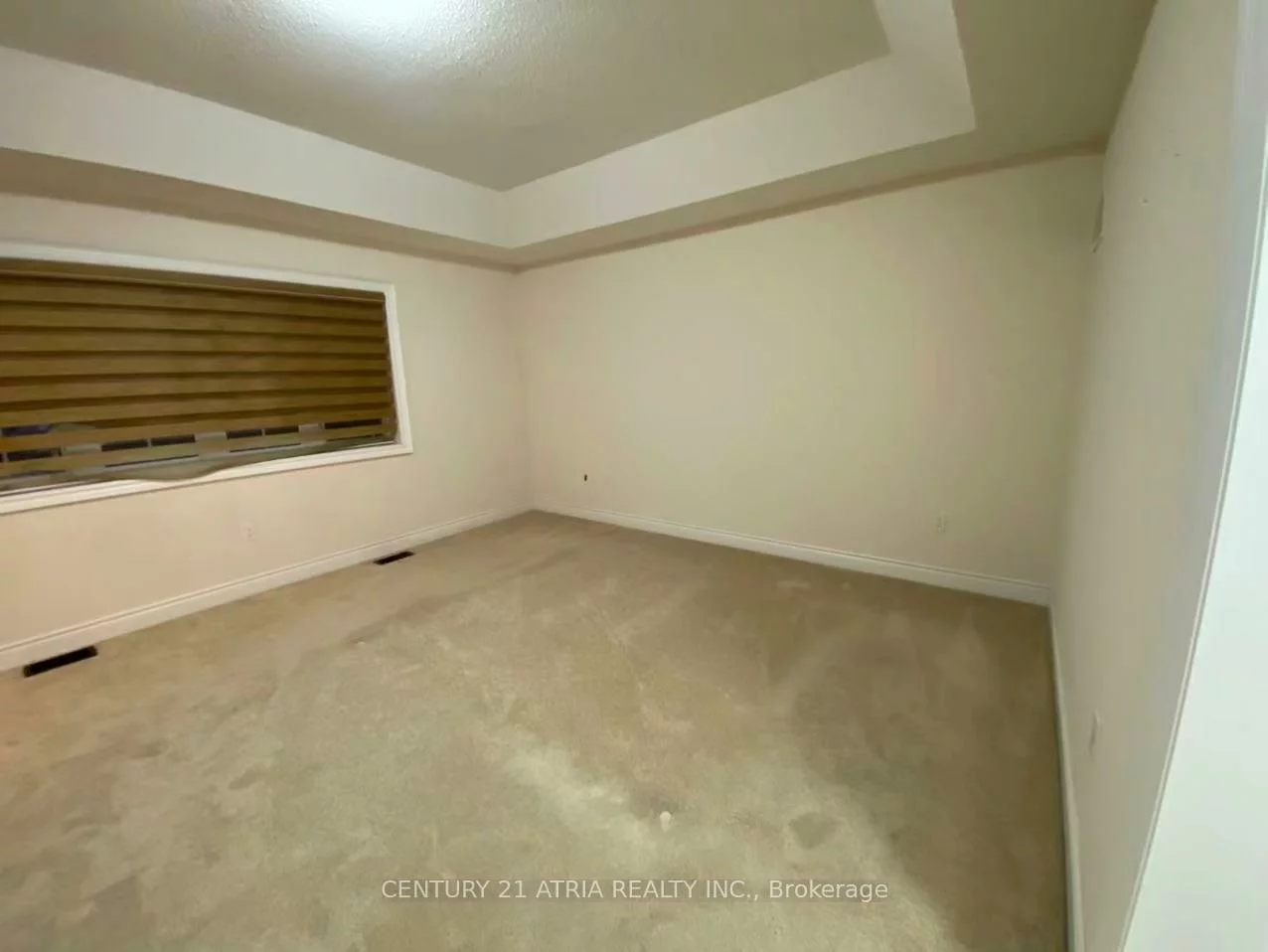 37, Ladder, Sharon, East Gwillimbury