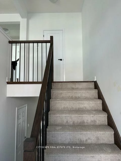 8, Andrew Knowles, Mt Albert, East Gwillimbury