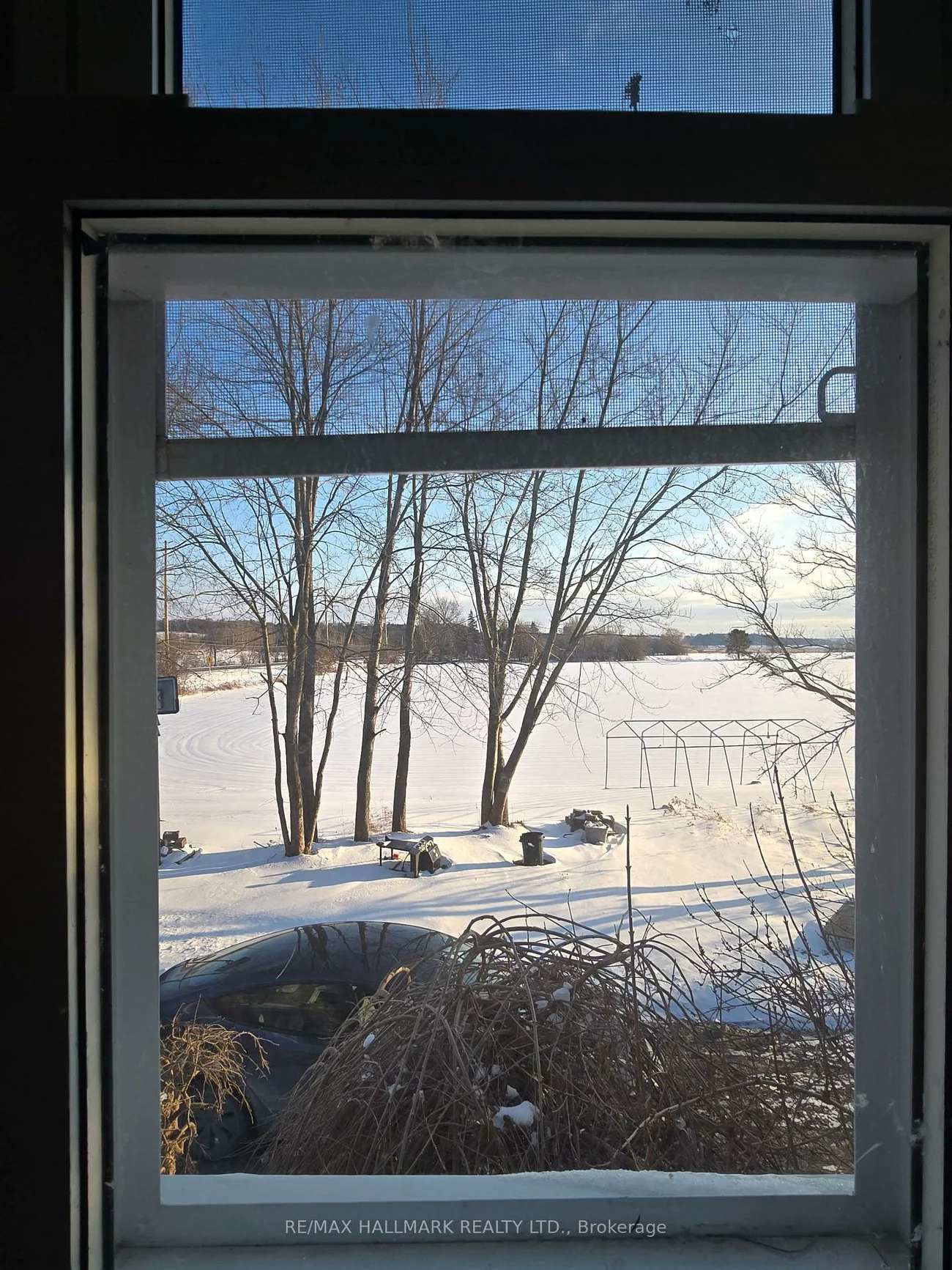 22156, Leslie, Rural East Gwillimbury, East Gwillimbury