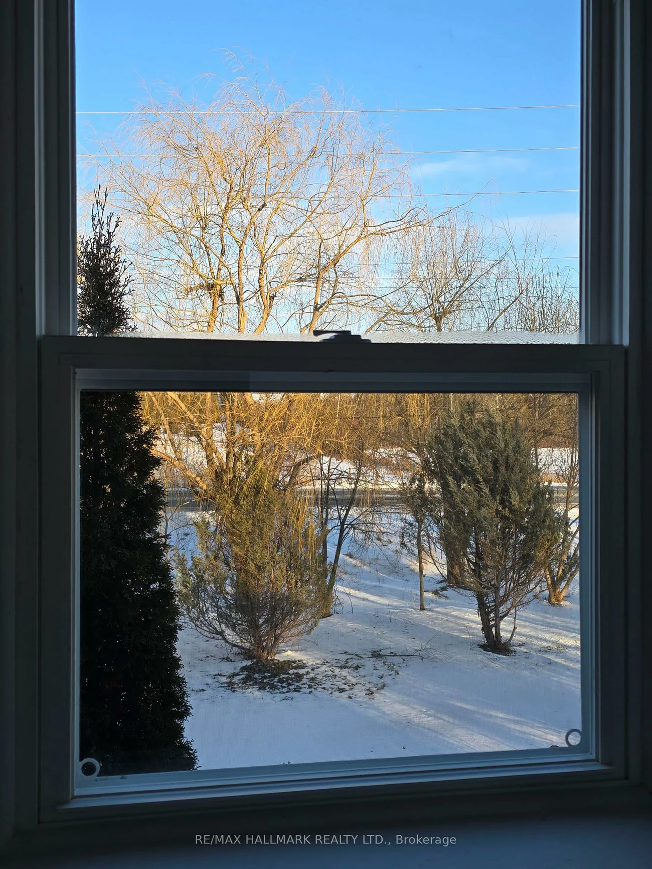 22156, Leslie, Rural East Gwillimbury, East Gwillimbury