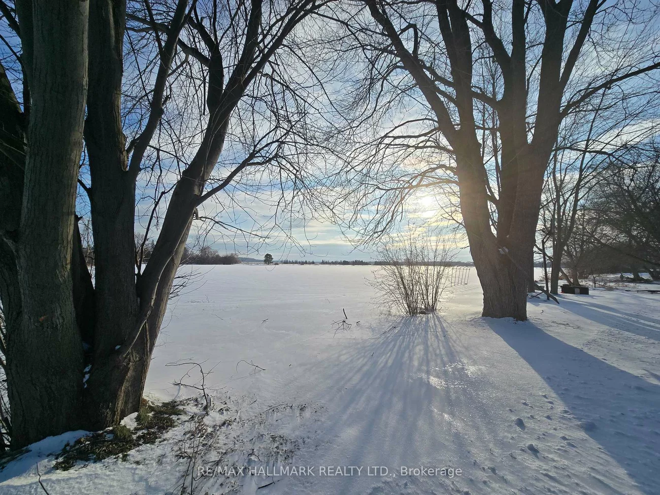 22156, Leslie, Rural East Gwillimbury, East Gwillimbury