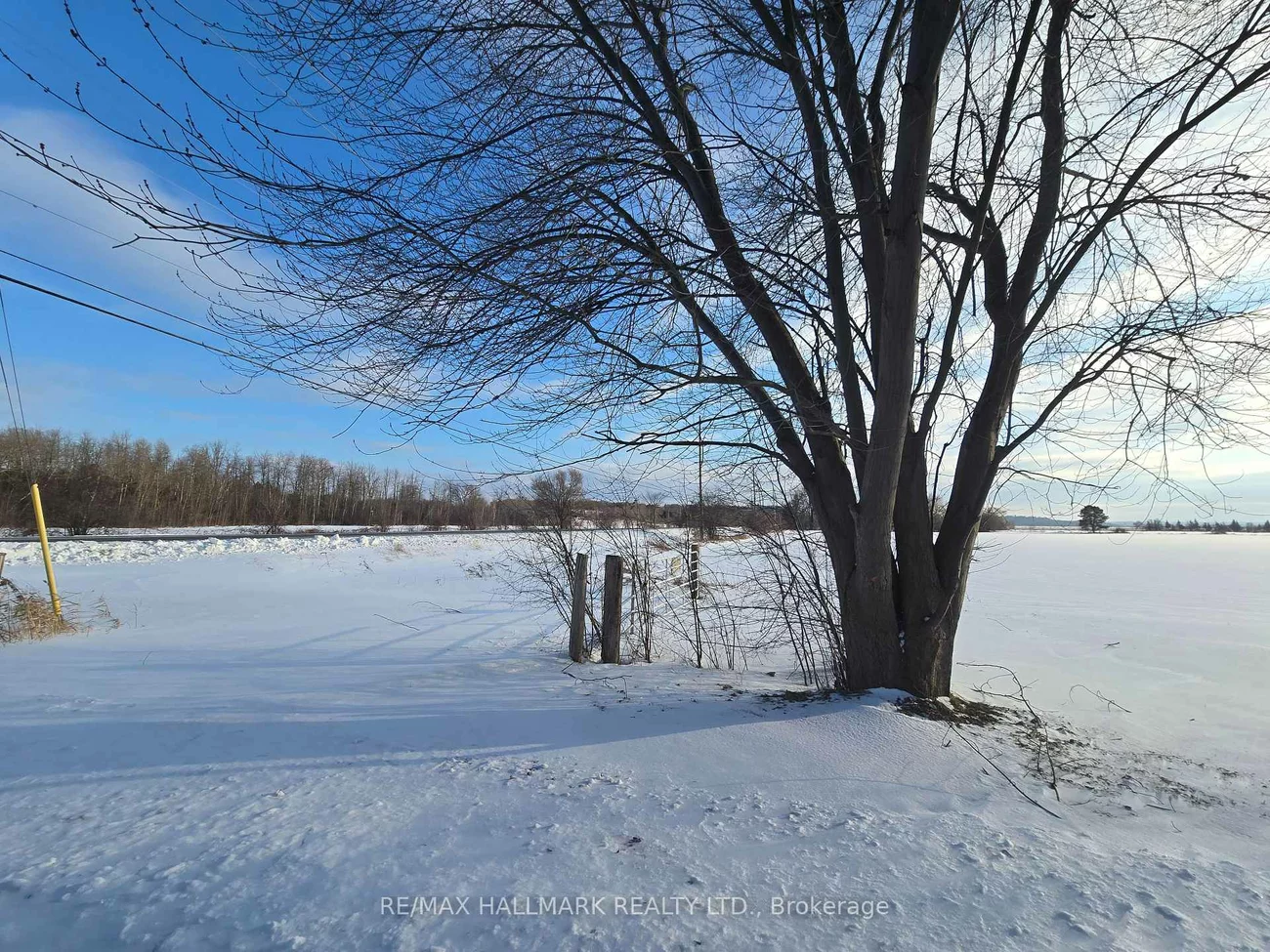 22156, Leslie, Rural East Gwillimbury, East Gwillimbury