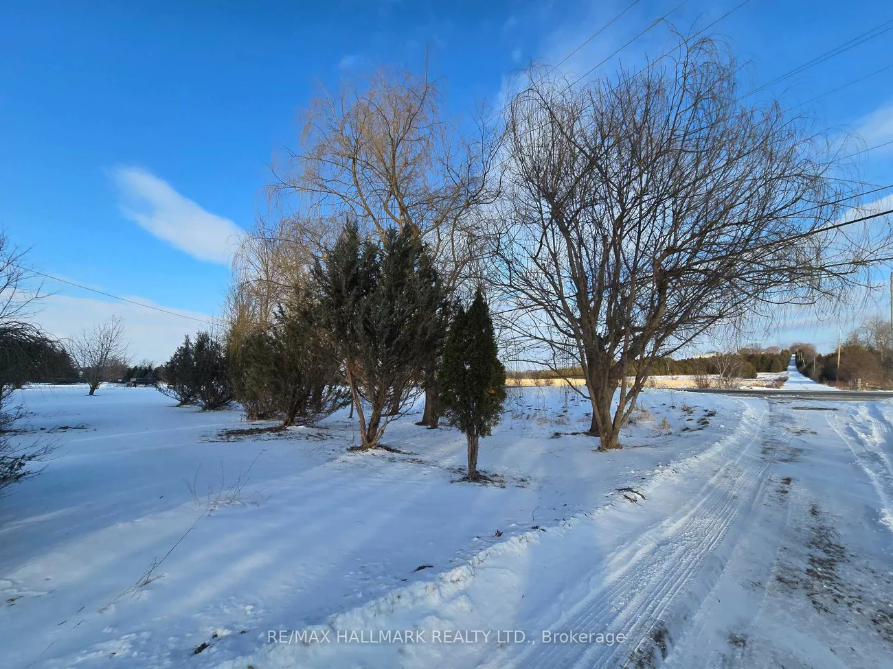 22156, Leslie, Rural East Gwillimbury, East Gwillimbury