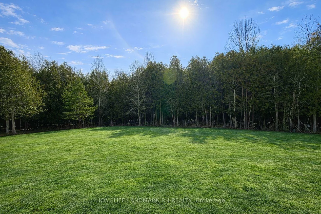 17669, Warden, Rural East Gwillimbury, East Gwillimbury