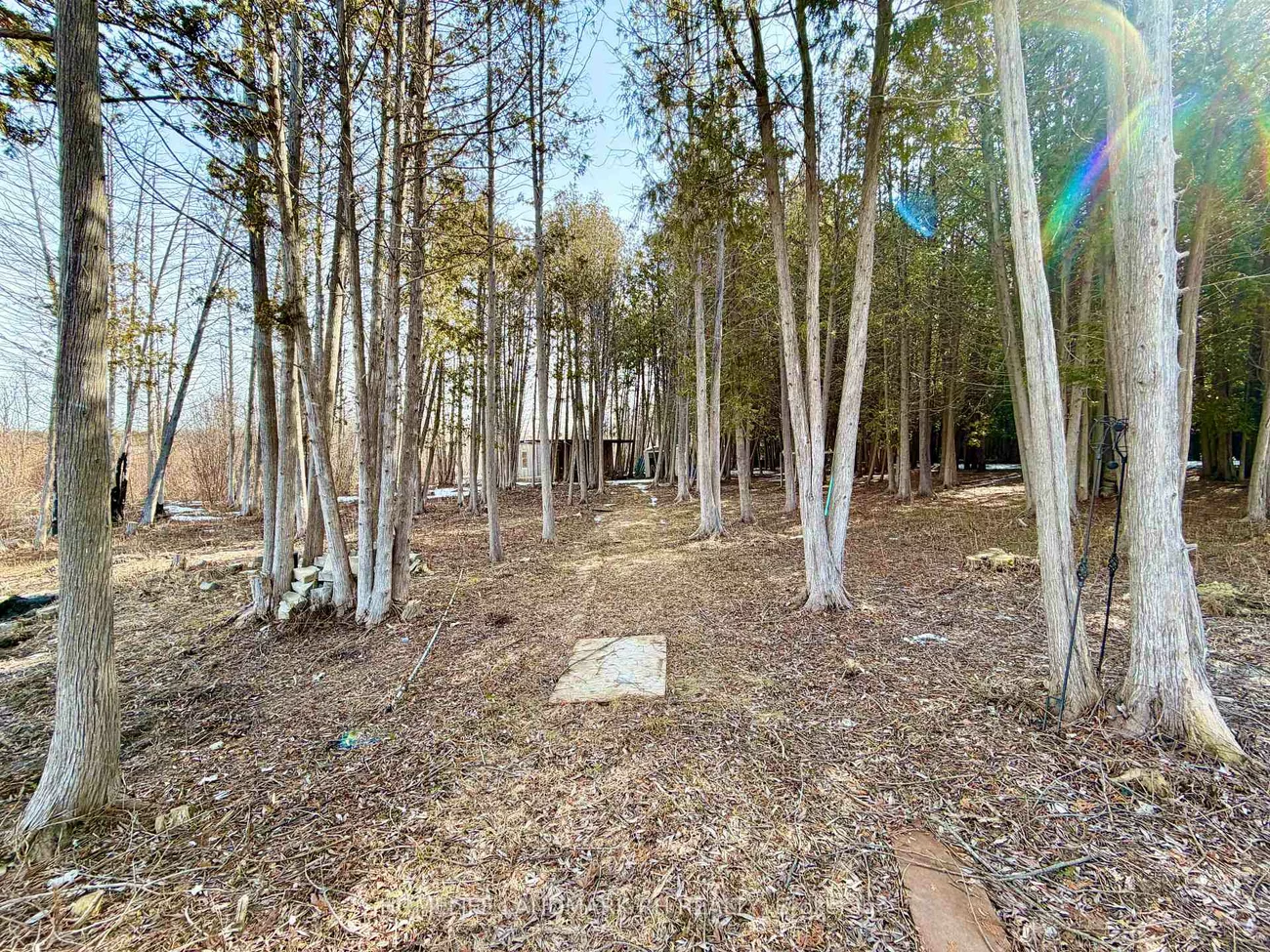 17669, Warden, Rural East Gwillimbury, East Gwillimbury