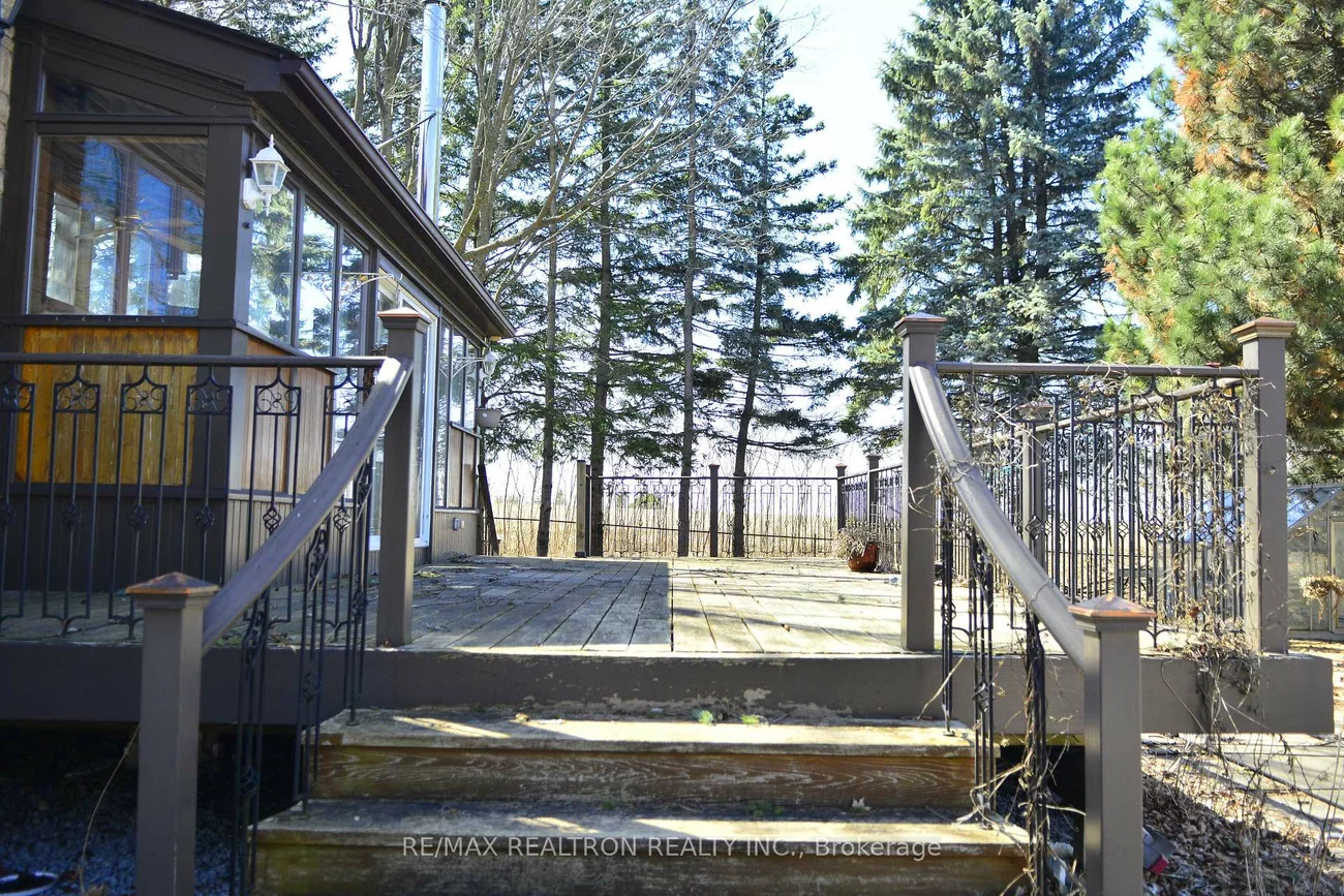 1998, Green, Rural East Gwillimbury, East Gwillimbury