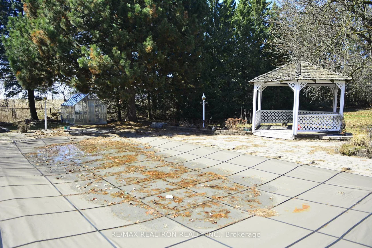 1998, Green, Rural East Gwillimbury, East Gwillimbury