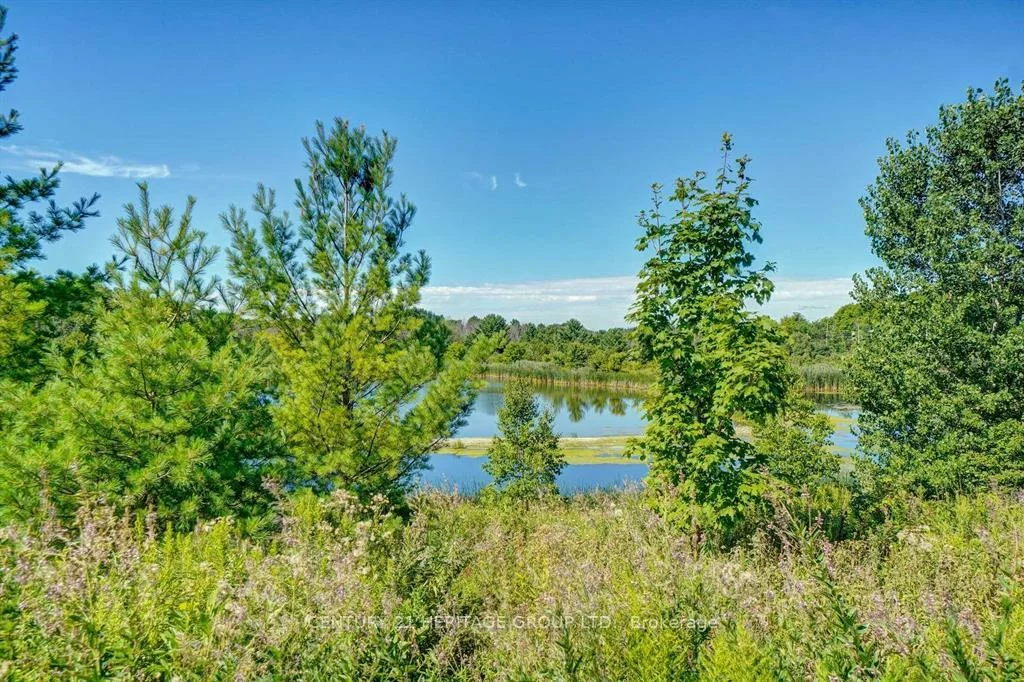 16, Old Field, Rural East Gwillimbury, East Gwillimbury