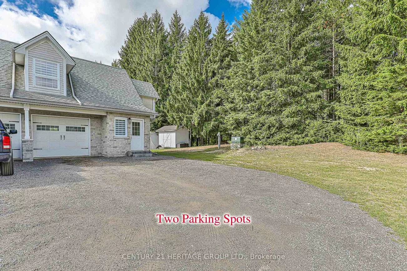 3471, Mount Albert, Rural East Gwillimbury, East Gwillimbury