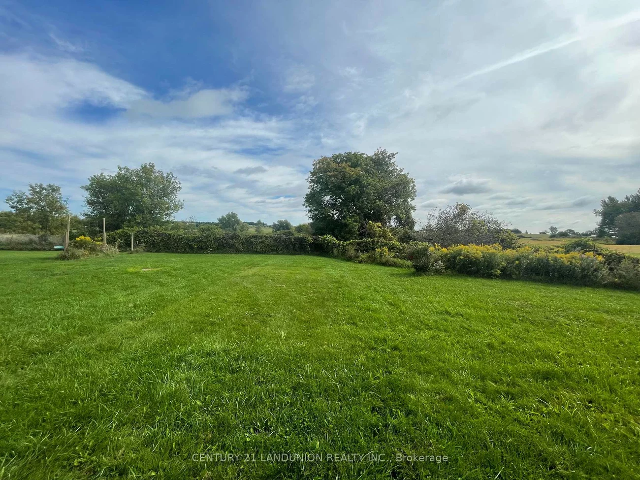 20215, Woodbine, Rural East Gwillimbury, East Gwillimbury