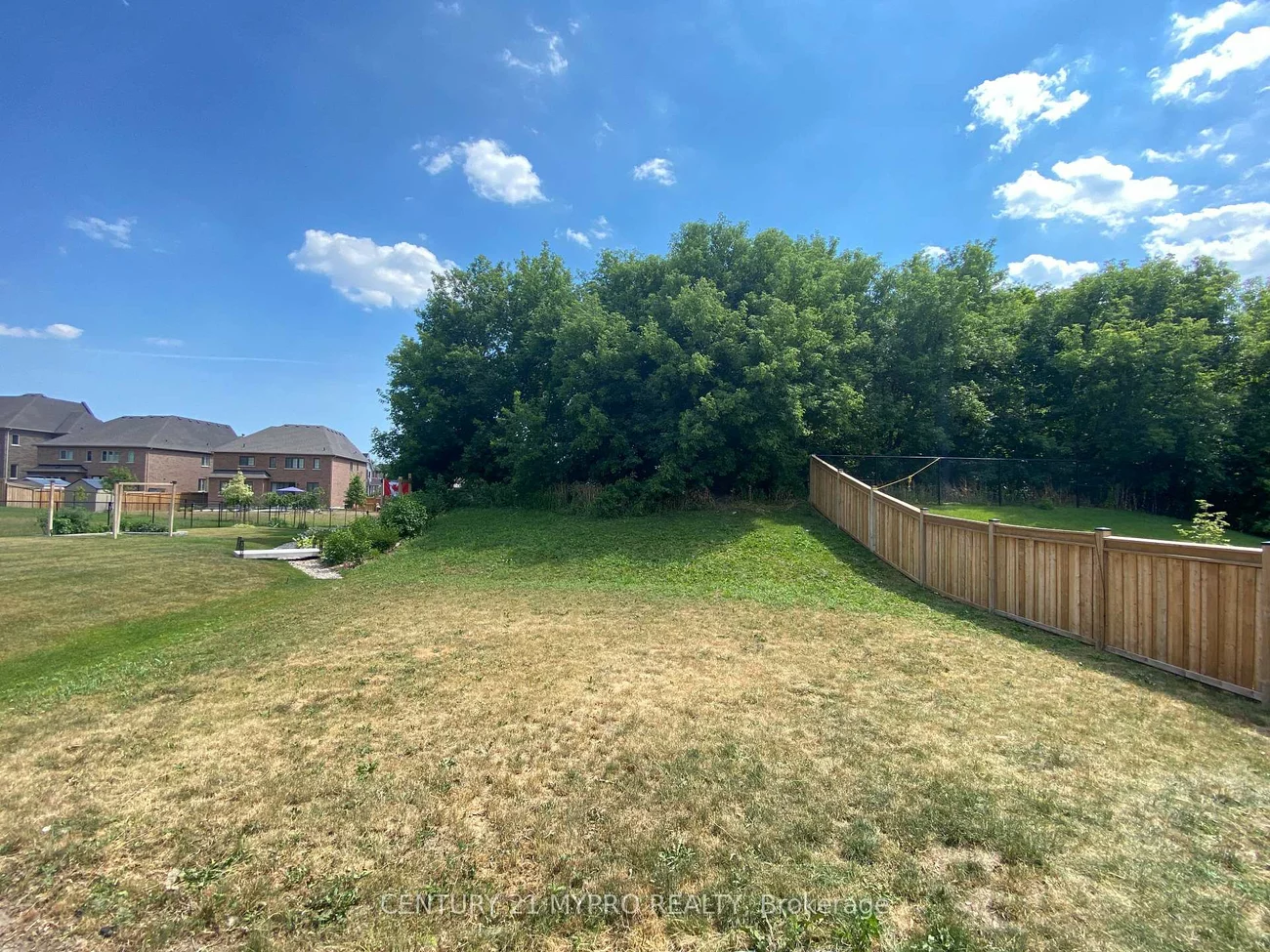 81, David Willson, Sharon, East Gwillimbury