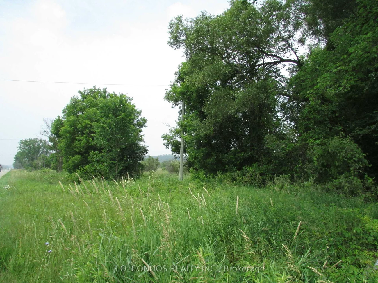 19633, 48, Rural East Gwillimbury, East Gwillimbury