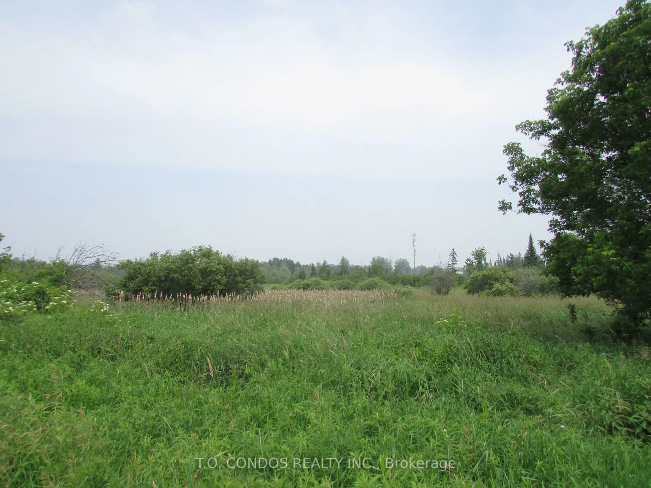 19633, 48, Rural East Gwillimbury, East Gwillimbury