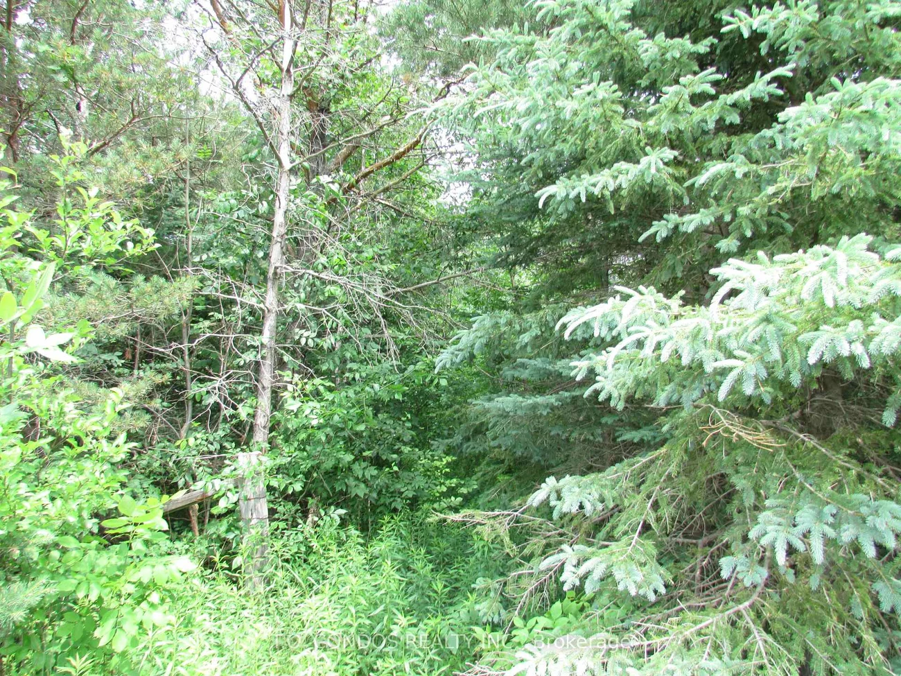 19633, 48, Rural East Gwillimbury, East Gwillimbury