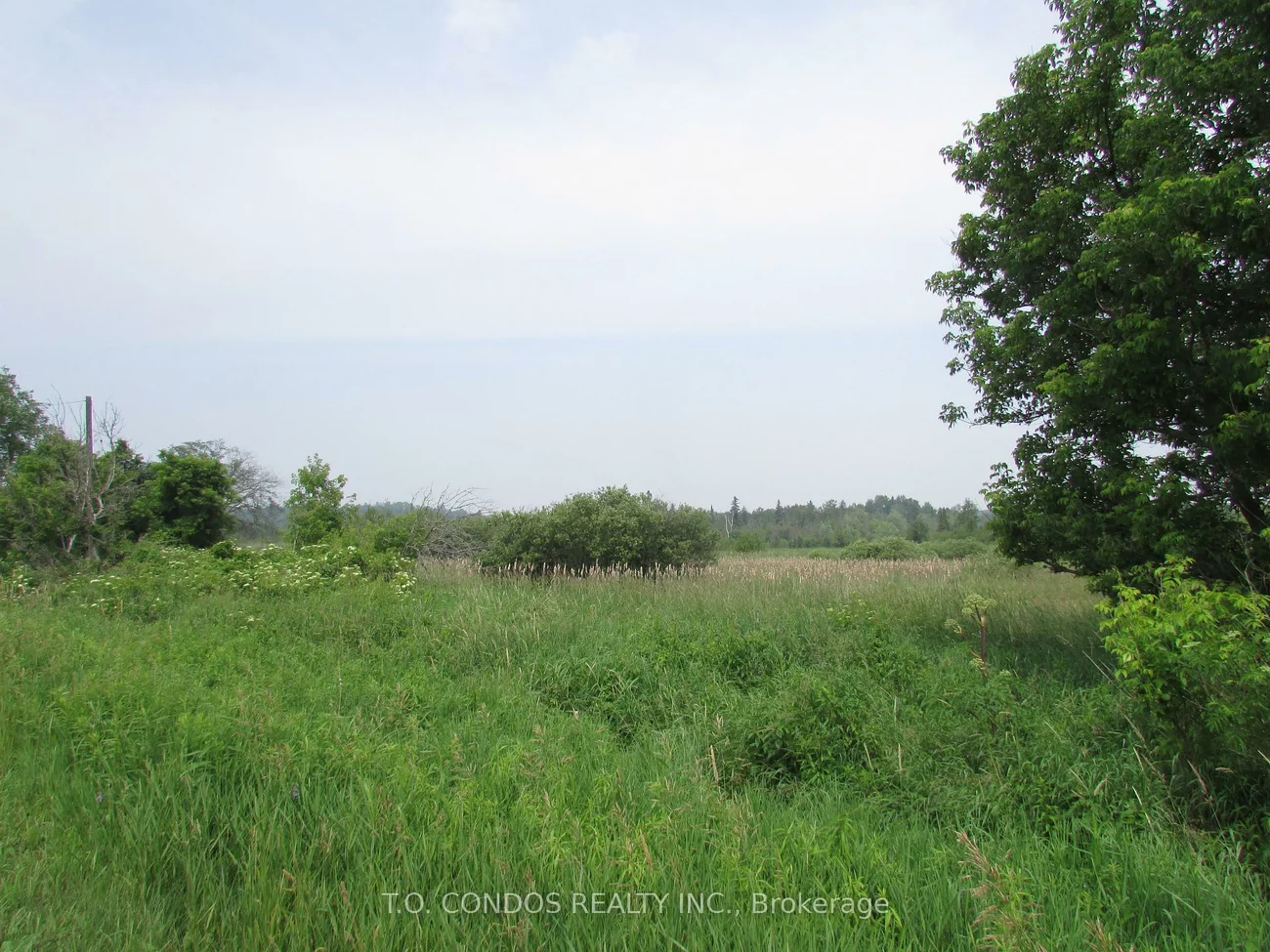 19633, 48, Rural East Gwillimbury, East Gwillimbury