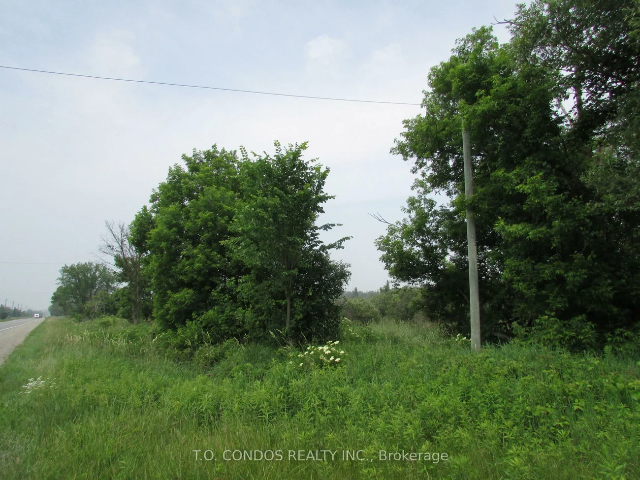 19633, 48, Rural East Gwillimbury, East Gwillimbury
