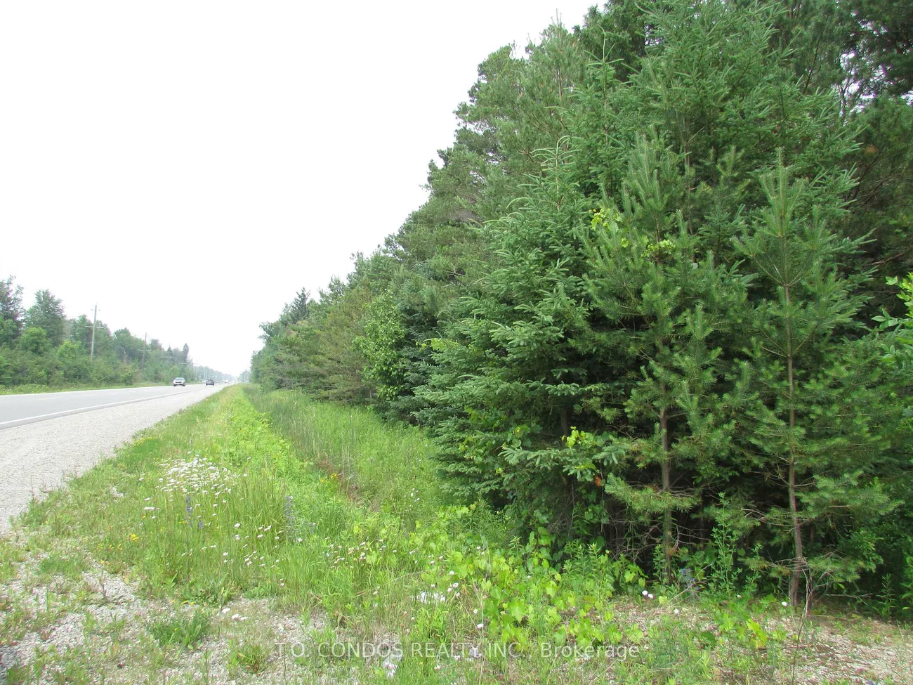 19633, 48, Rural East Gwillimbury, East Gwillimbury