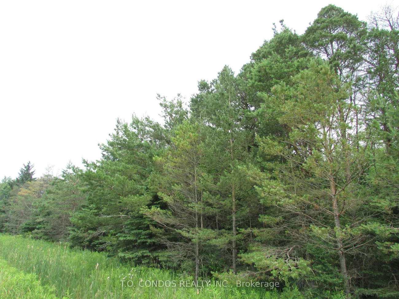 19633, 48, Rural East Gwillimbury, East Gwillimbury