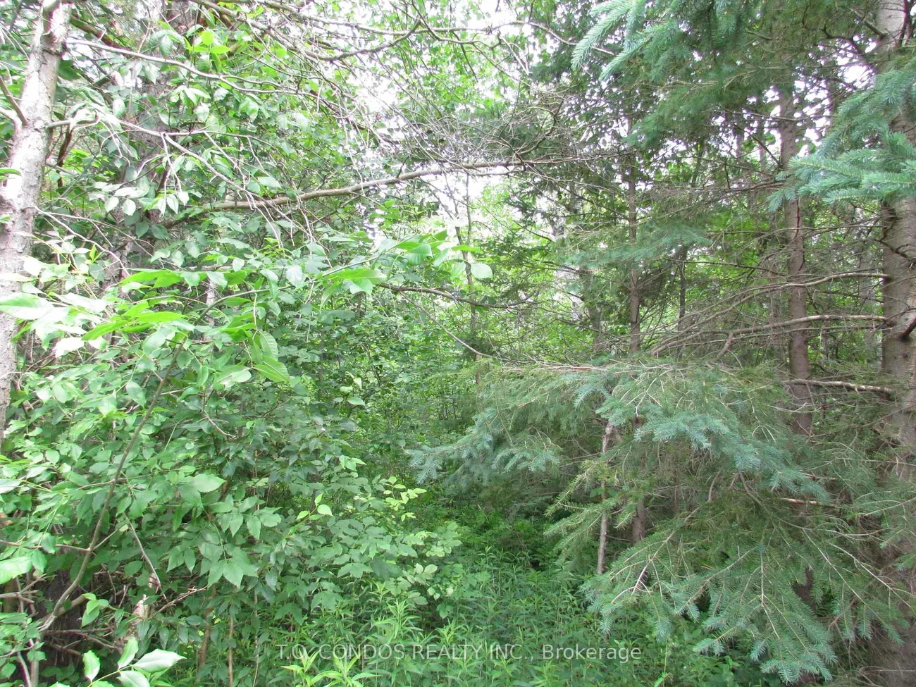 19633, 48, Rural East Gwillimbury, East Gwillimbury