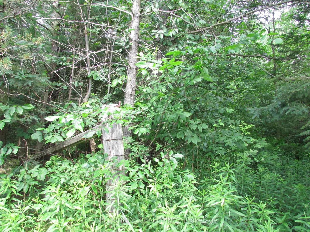 19633, 48, Rural East Gwillimbury, East Gwillimbury