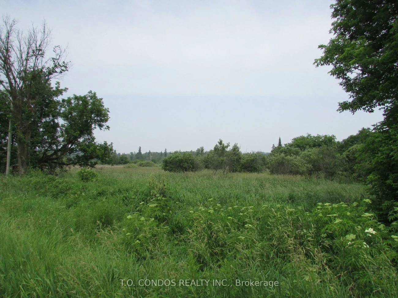 19633, 48, Rural East Gwillimbury, East Gwillimbury