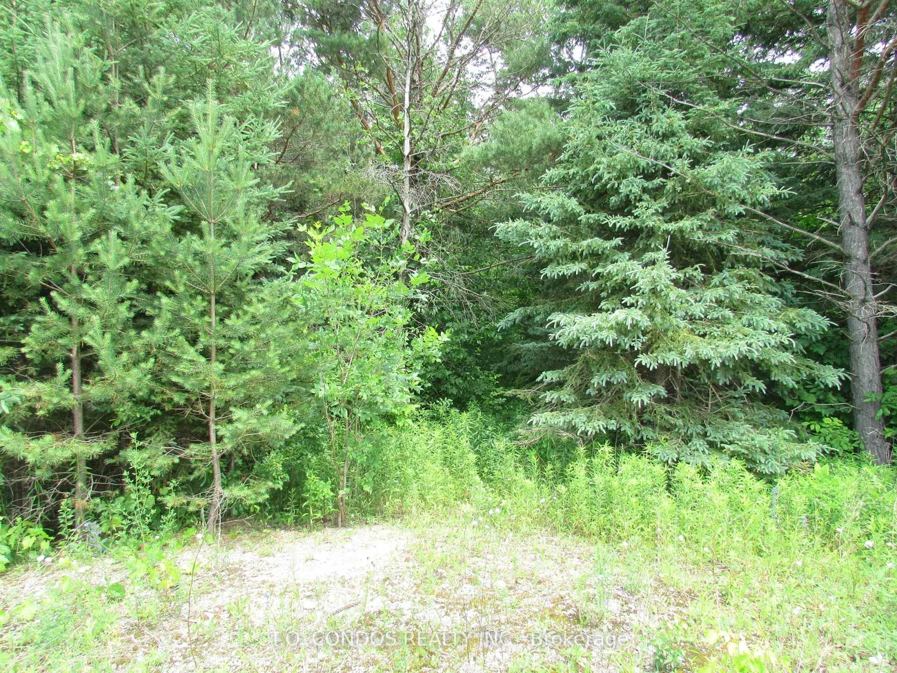 19633, 48, Rural East Gwillimbury, East Gwillimbury