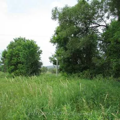 19633, 48, Rural East Gwillimbury, East Gwillimbury