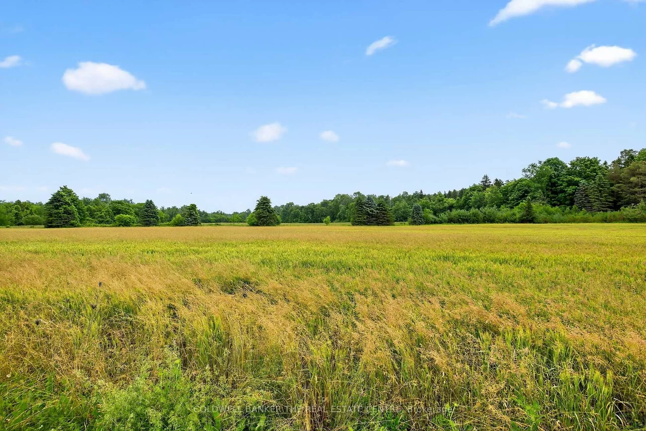 21151, Warden, Rural East Gwillimbury, East Gwillimbury