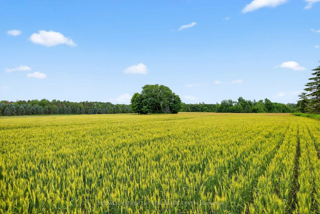 21151, Warden, Rural East Gwillimbury, East Gwillimbury