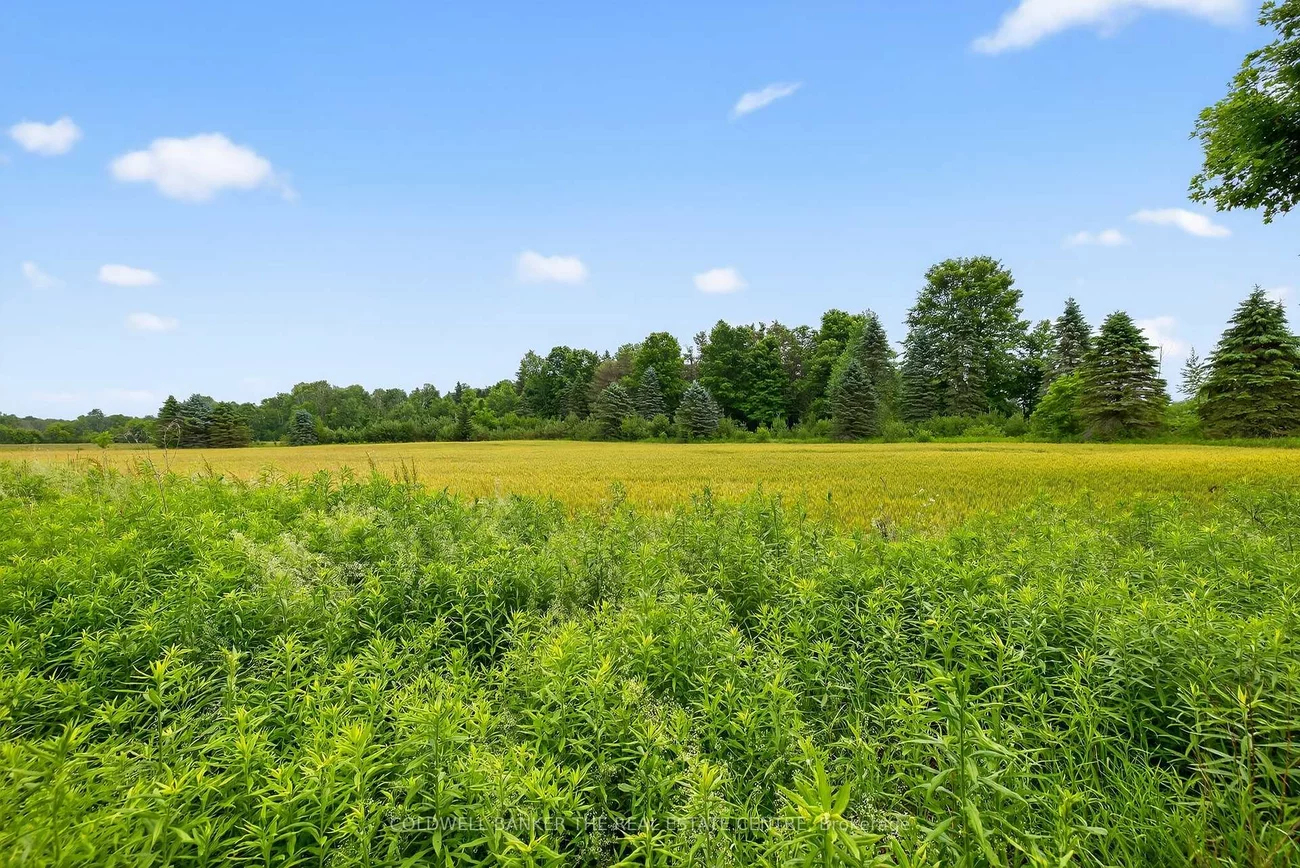 21151, Warden, Rural East Gwillimbury, East Gwillimbury