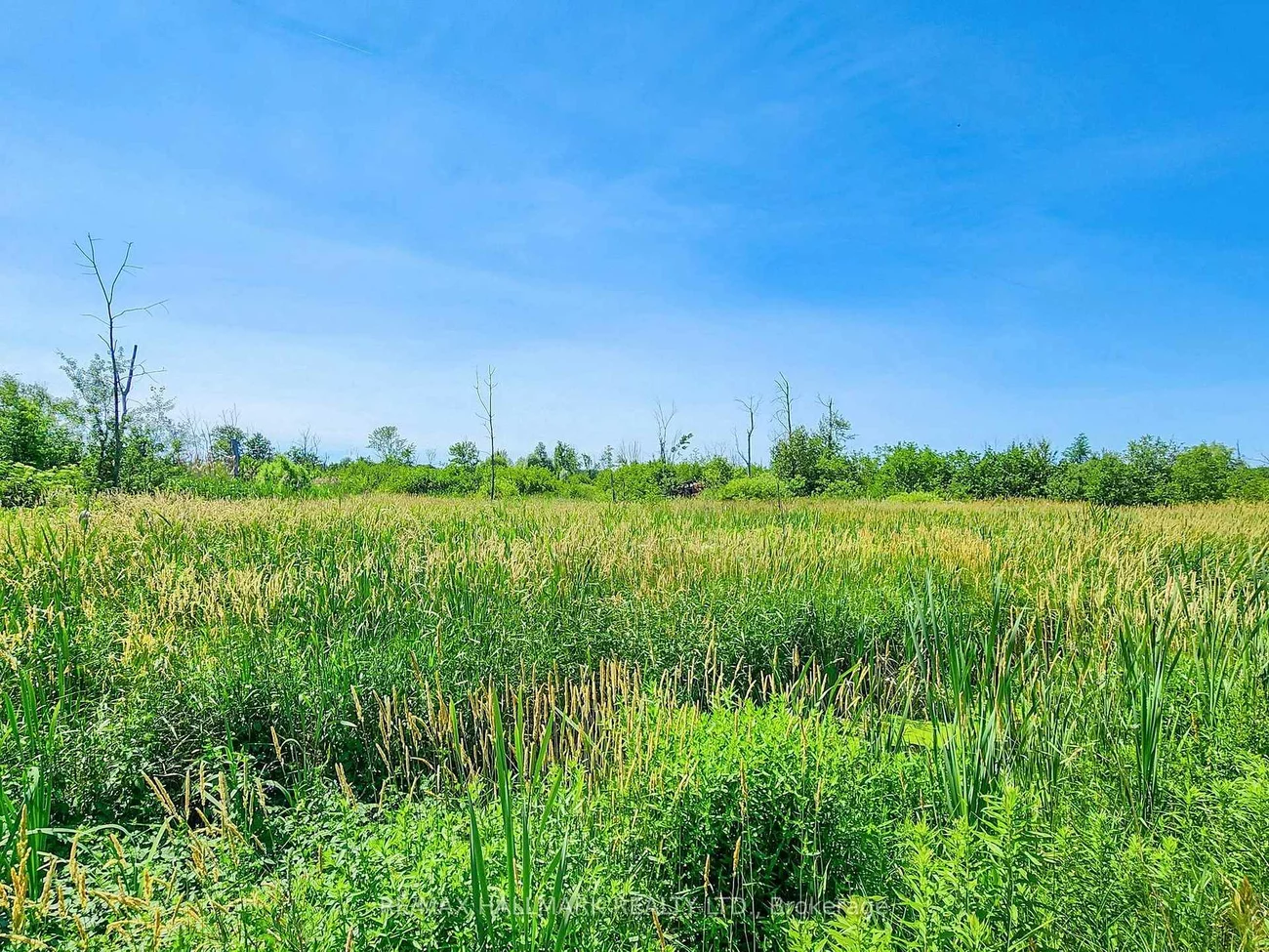 20200, Highway 48, Rural East Gwillimbury, East Gwillimbury