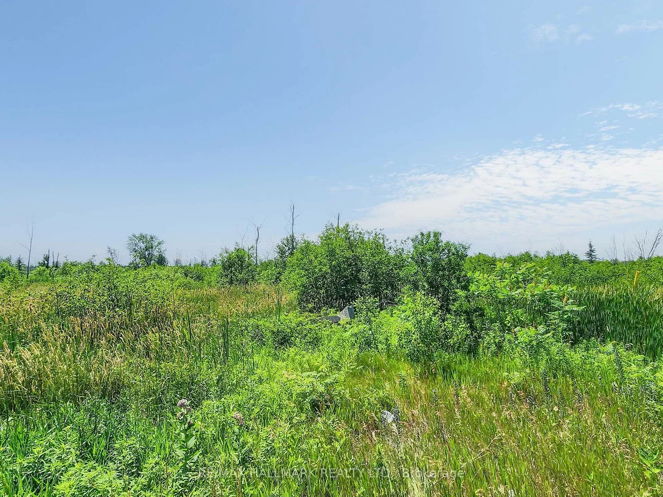 20200, Highway 48, Rural East Gwillimbury, East Gwillimbury