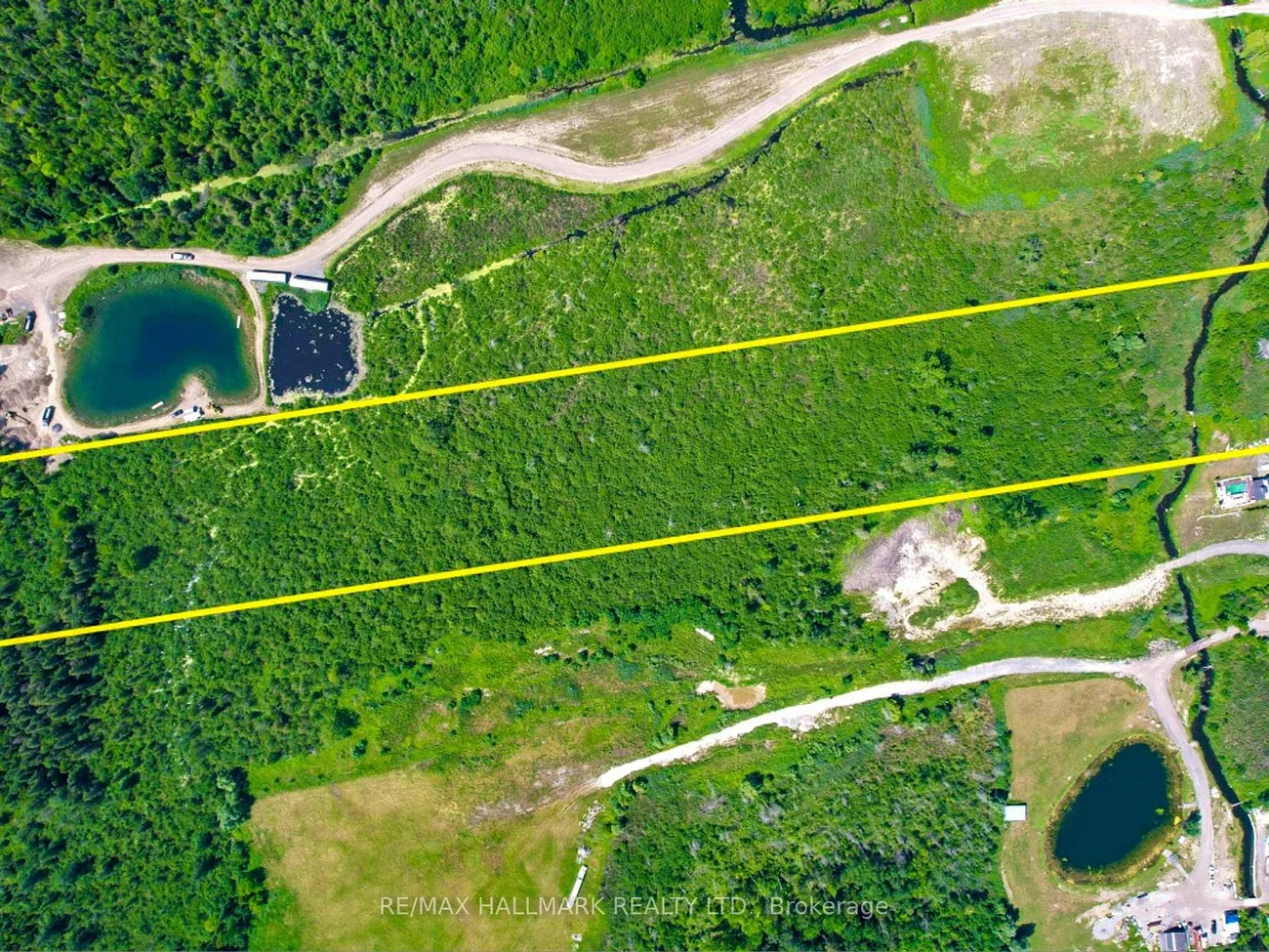 20200, Highway 48, Rural East Gwillimbury, East Gwillimbury