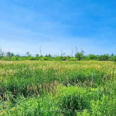20200, Highway 48, Rural East Gwillimbury, East Gwillimbury