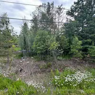 21416, 48, Rural East Gwillimbury, East Gwillimbury