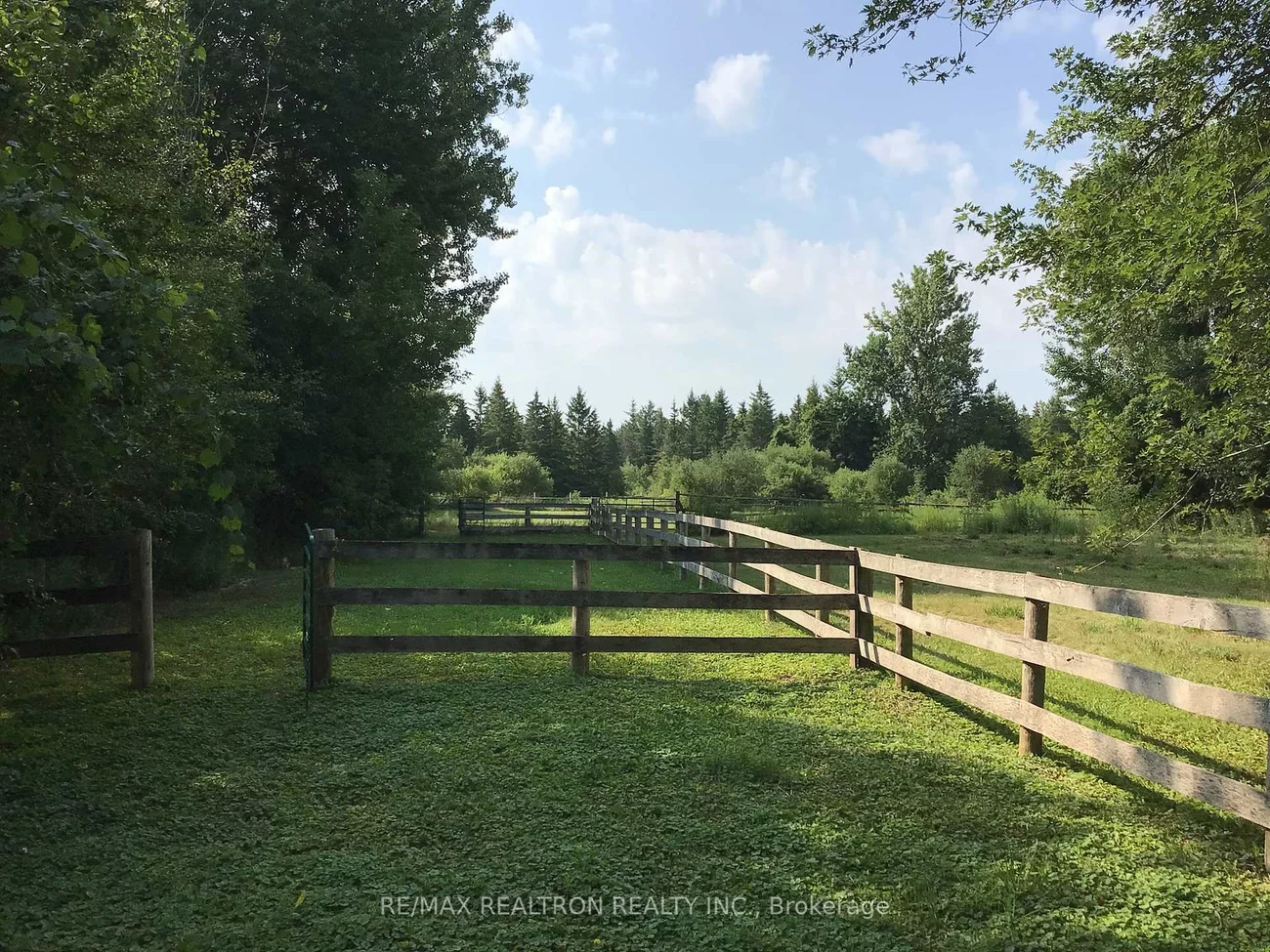 1181, Ravenshoe, Rural East Gwillimbury, East Gwillimbury