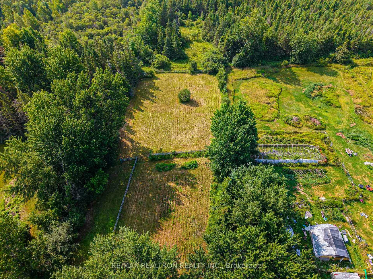 1181, Ravenshoe, Rural East Gwillimbury, East Gwillimbury
