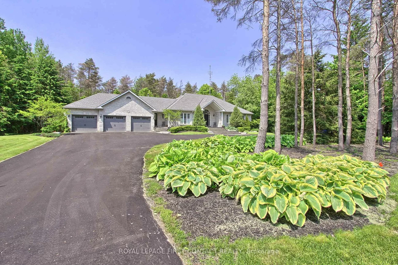 8, Pelosi, Rural East Gwillimbury, East Gwillimbury