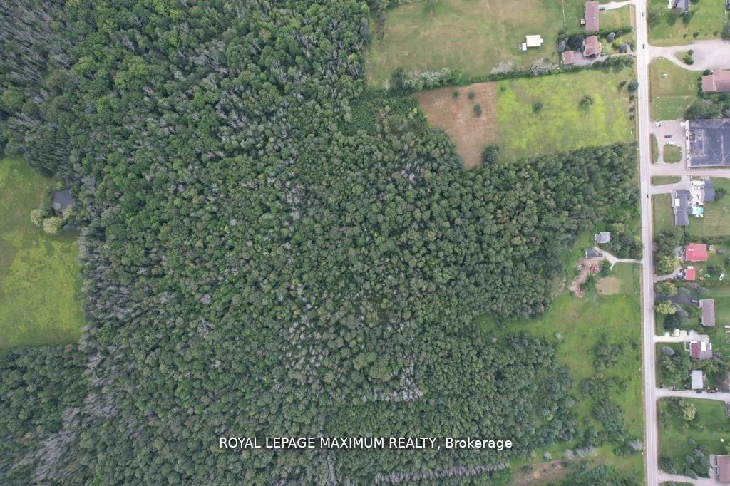 20223, Bathurst, Rural East Gwillimbury, East Gwillimbury