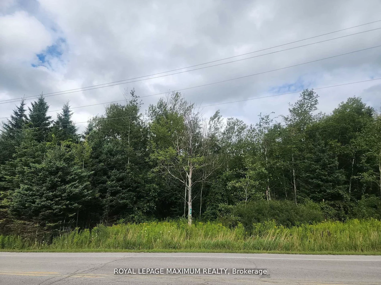 20223, Bathurst, Rural East Gwillimbury, East Gwillimbury
