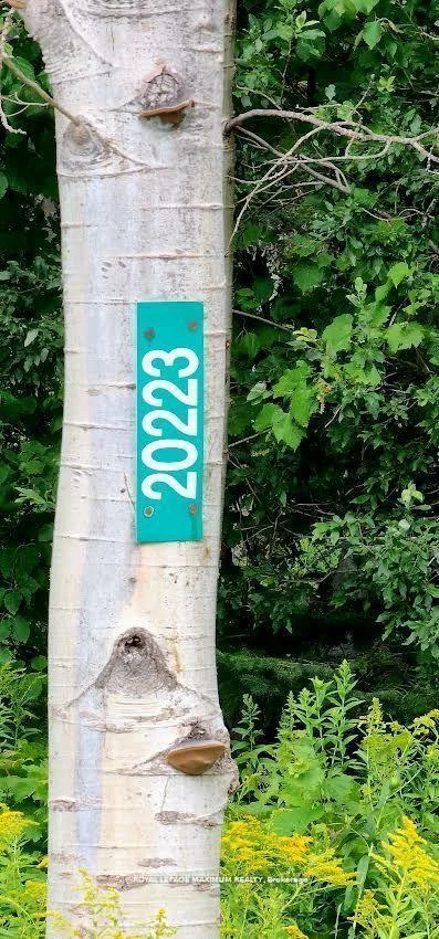 20223, Bathurst, Rural East Gwillimbury, East Gwillimbury