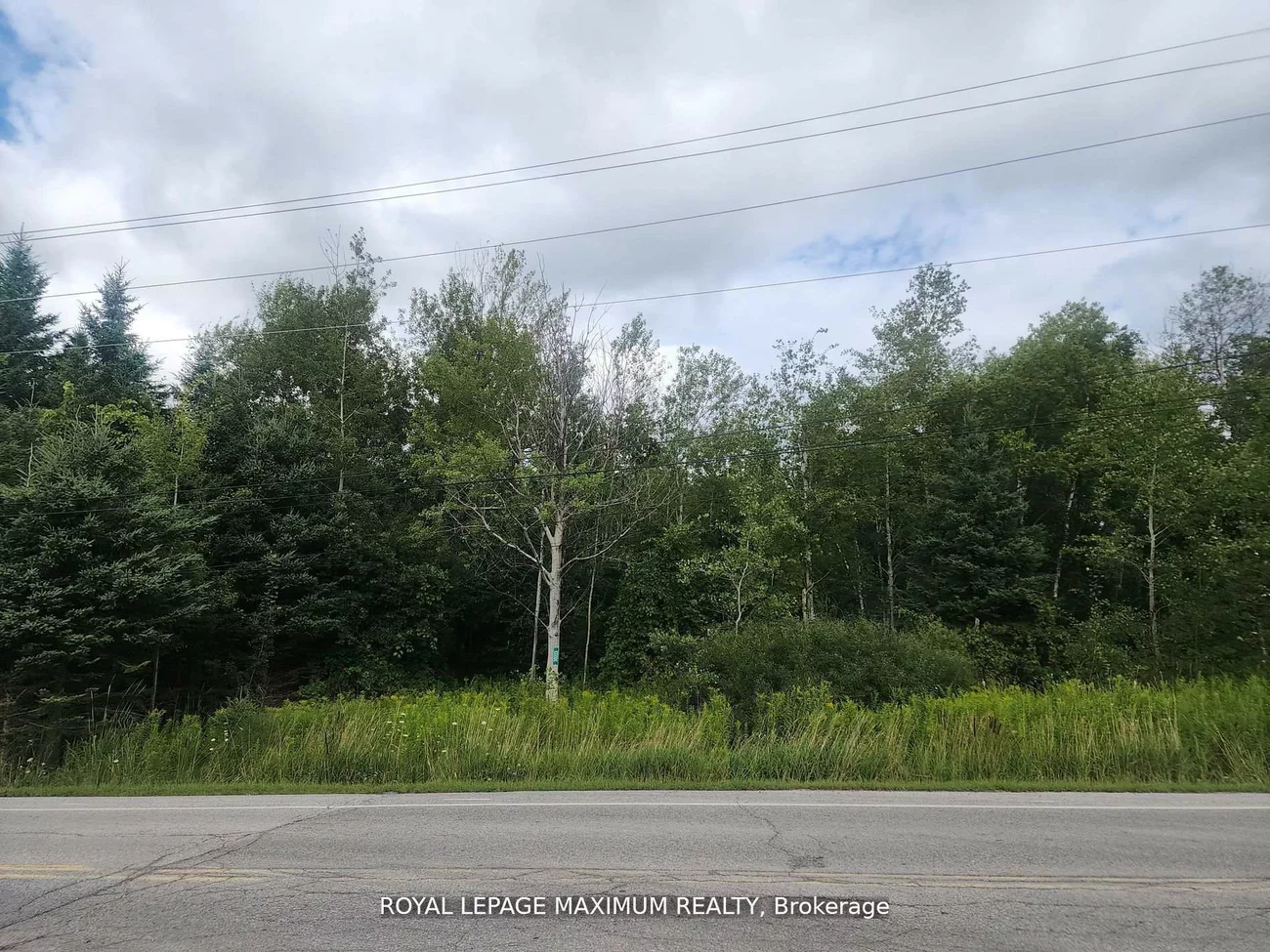 20223, Bathurst, Rural East Gwillimbury, East Gwillimbury